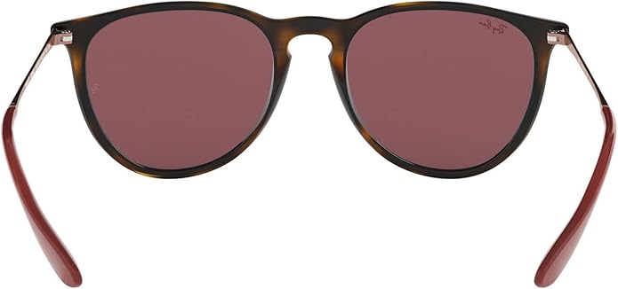 Ray-Ban womens Rb4171 Erika Round Sunglasses