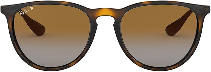 Ray-Ban RB4171f Erika Low Bridge Fit Round Sunglasses