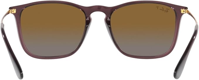 Ray-Ban RB4187 Chris Square Sunglasses