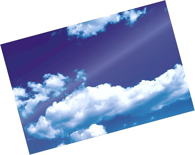 Fellowes, Self-Adhesive Laminating Pouches, 5 Mil, Photo Size, 5 per Pack (5220401)