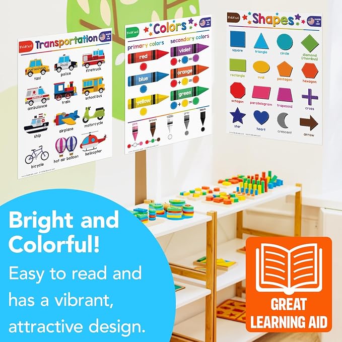 Beginner Bundle – 7 Educational Posters – Classroom and Homeschool Learning Chart Decorations and School Supplies Materials, Preschool to Grade 3 | Printed on Durable and Glossy Cardstock | 8.5" x 11"