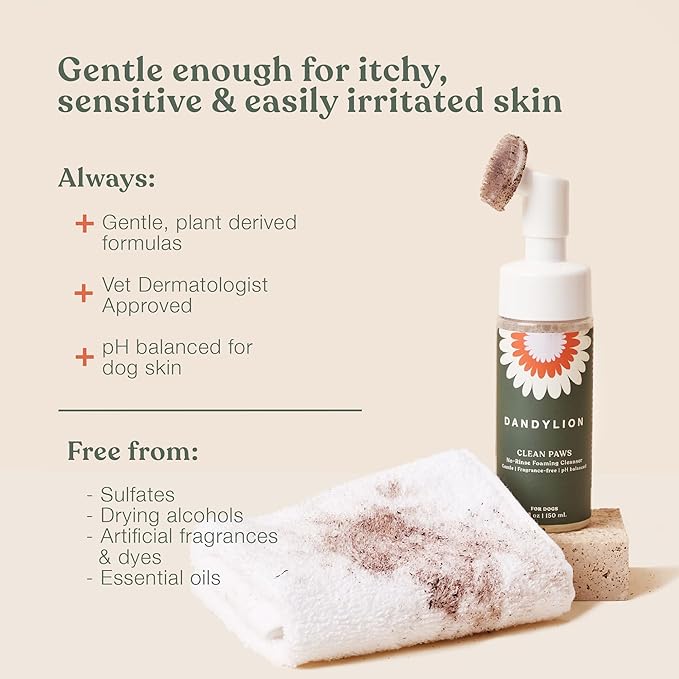 Dandylion Daily Paw Care Kit – No‑Rinse Paw Cleaner + Hydrating Paw Lotion with Brush – Gentle, pH‑Balanced, Fragrance‑Free, Plant‑Based