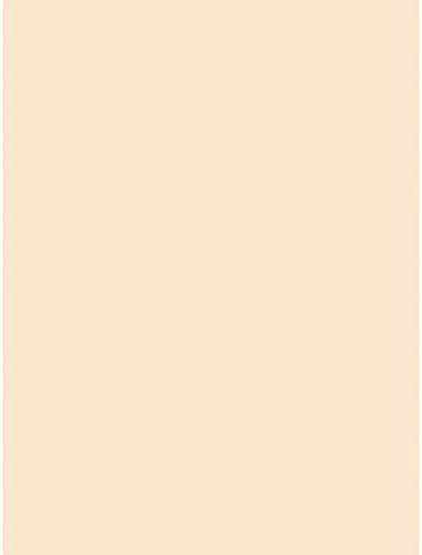 Pacon Tagboard Manila Medium Weight 9x12"