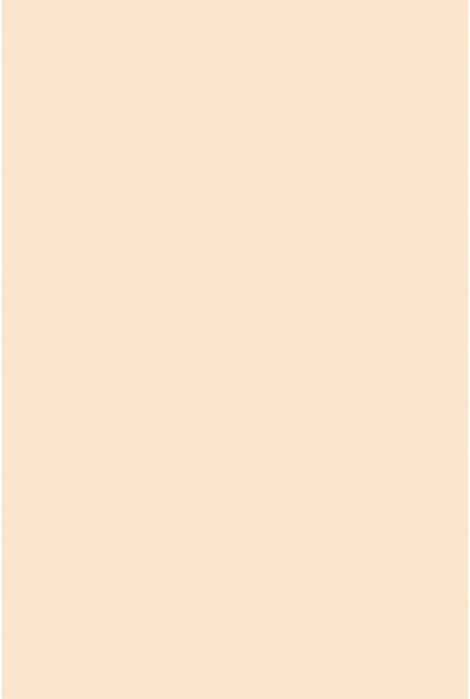 Pacon 5184 Medium Weight Tagboard, 18 x 12, Manila, 100/Pack