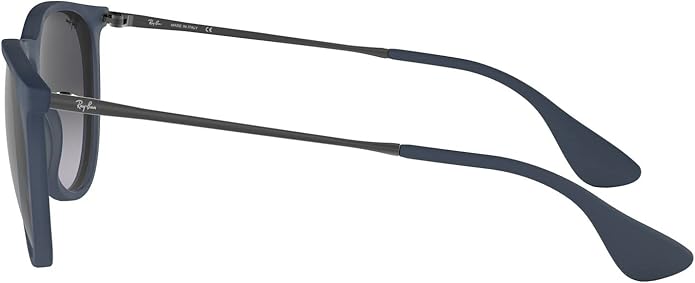 Ray-Ban womens Rb4171 Erika Round Sunglasses