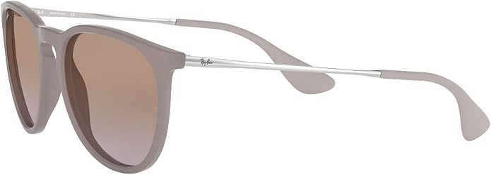 Ray-Ban womens Rb4171 Erika Round Sunglasses