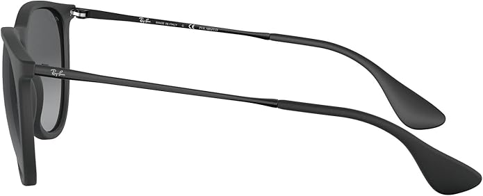Ray-Ban womens Rb4171 Erika Round Sunglasses