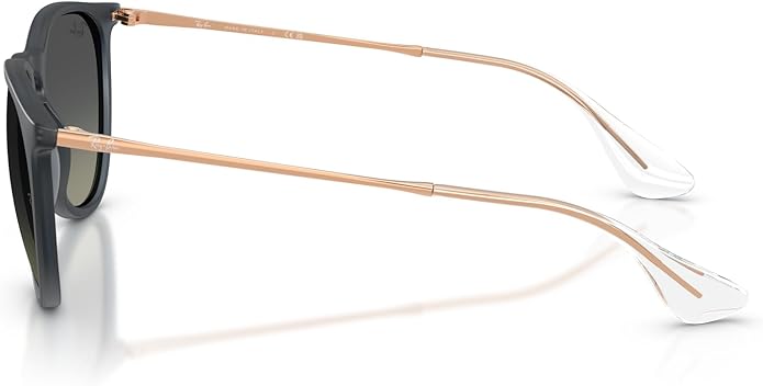 Ray-Ban womens Rb4171 Erika Round Sunglasses