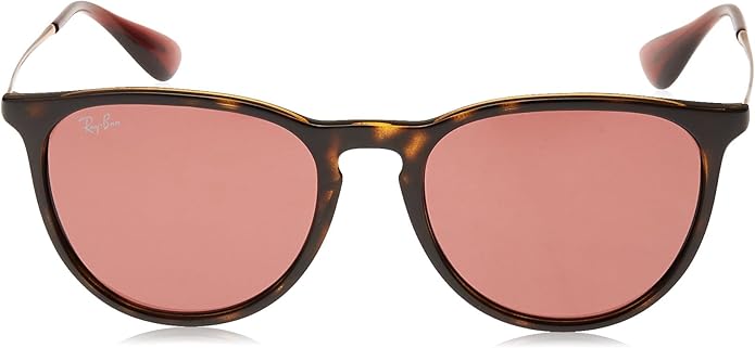 Ray-Ban womens Rb4171 Erika Round Sunglasses