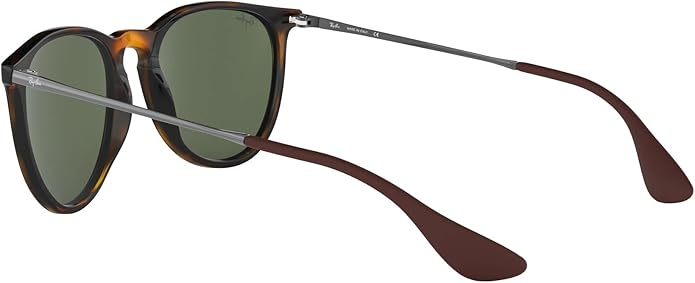 Ray-Ban womens Rb4171 Erika Round Sunglasses