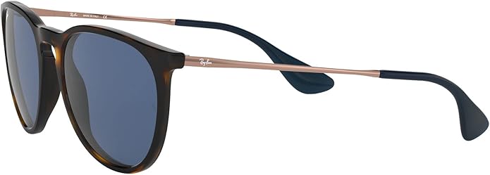 Ray-Ban womens Rb4171 Erika Round Sunglasses