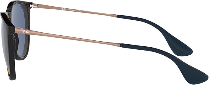 Ray-Ban womens Rb4171 Erika Round Sunglasses