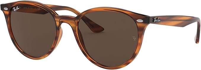 Ray-Ban Unisex Rb4305 Round Sunglasses