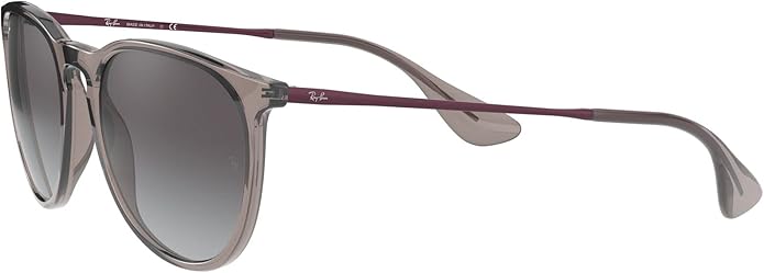 Ray-Ban womens Rb4171 Erika Round Sunglasses