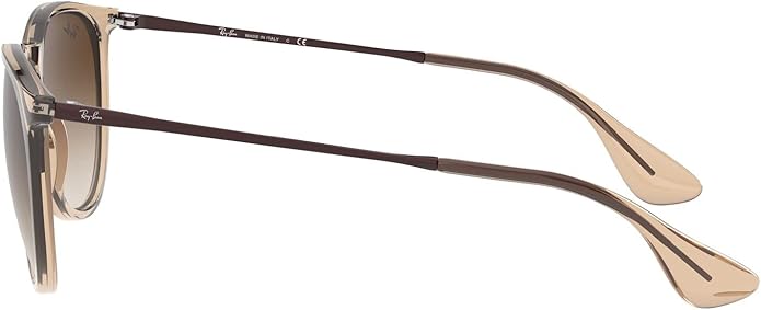Ray-Ban womens Rb4171 Erika Round Sunglasses
