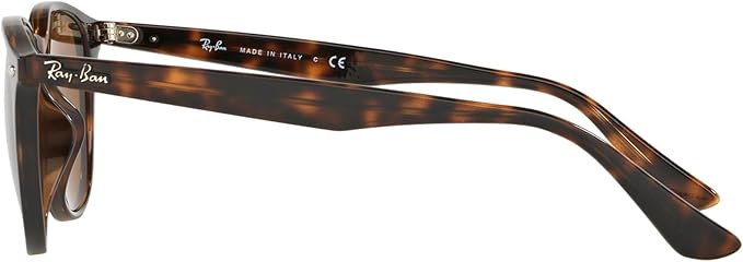 Ray-Ban Unisex Rb4259f Low Bridge Fit Round Sunglasses