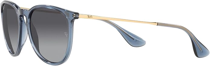 Ray-Ban womens Rb4171 Erika Round Sunglasses