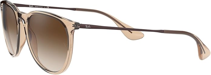 Ray-Ban womens Rb4171 Erika Round Sunglasses