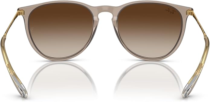 Ray-Ban womens Rb4171 Erika Round Sunglasses