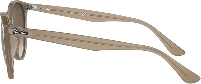 Ray-Ban Unisex Rb4305 Round Sunglasses