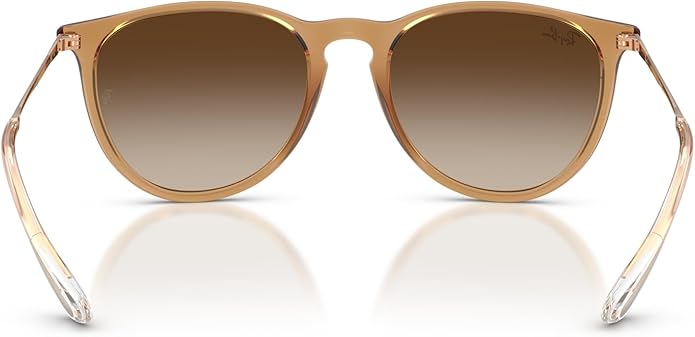 Ray-Ban womens Rb4171 Erika Round Sunglasses
