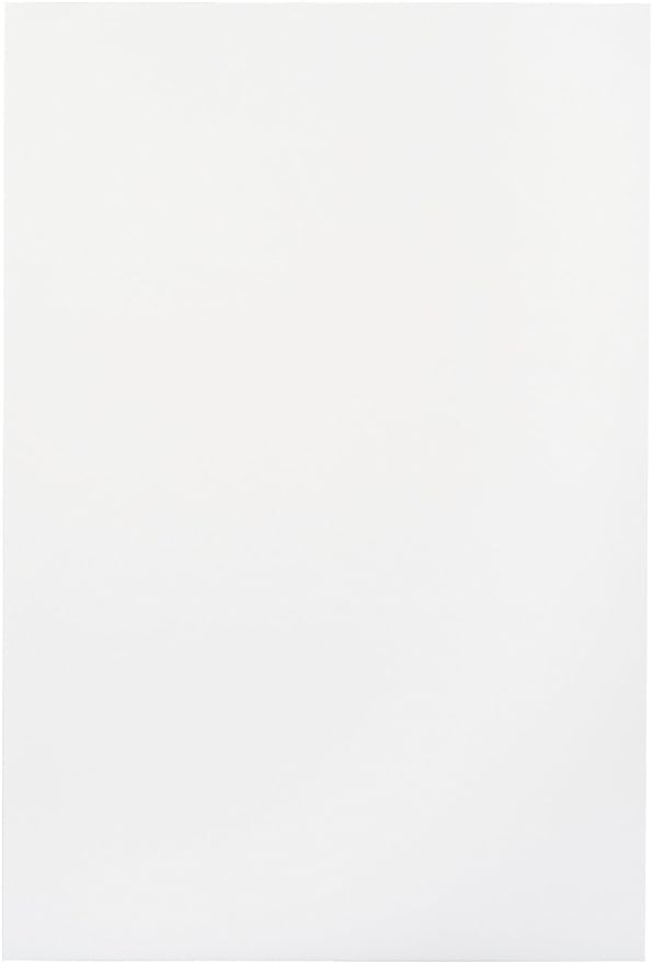 School Smart Folding Bristol Tagboard, 9 x 12 Inches, White, Pack of 100 - 085520