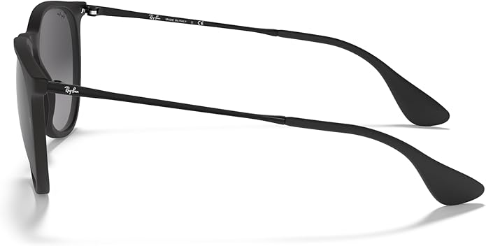 Ray-Ban womens Rb4171 Erika Round Sunglasses