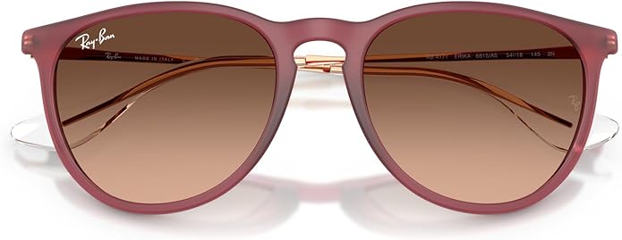 Ray-Ban womens Rb4171 Erika Round Sunglasses