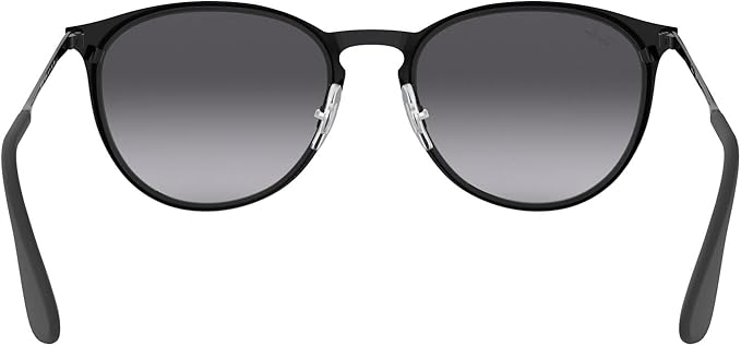 Ray-Ban womens Rb3539 Erika Metal Round Sunglasses