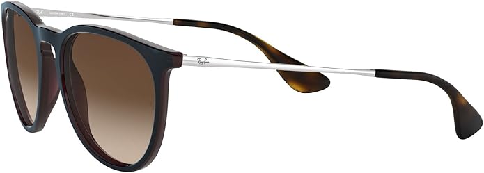 Ray-Ban womens Rb4171 Erika Round Sunglasses