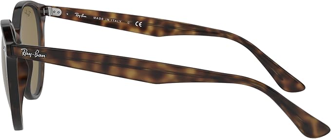 Ray-Ban Unisex Rb4305 Round Sunglasses