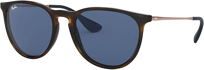 Ray-Ban womens Rb4171 Erika Round Sunglasses