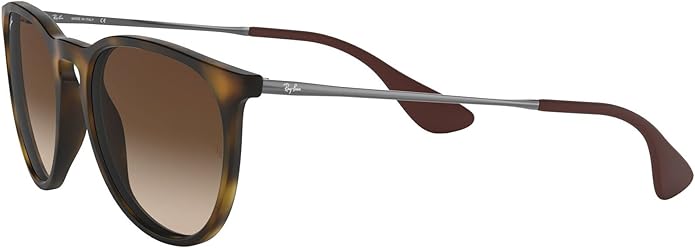 Ray-Ban womens Rb4171 Erika Round Sunglasses
