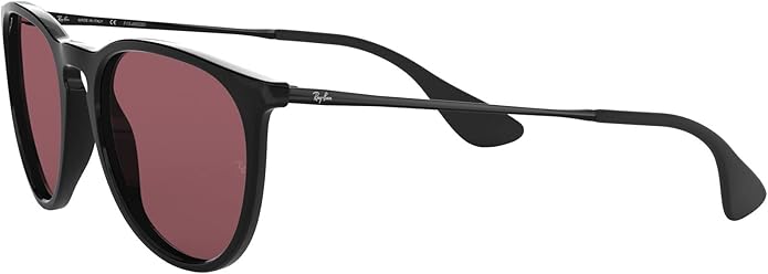 Ray-Ban womens Rb4171 Erika Round Sunglasses