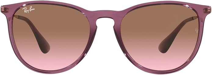 Ray-Ban womens Rb4171 Erika Round Sunglasses