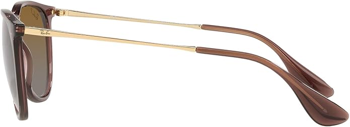 Ray-Ban womens Rb4171 Erika Round Sunglasses