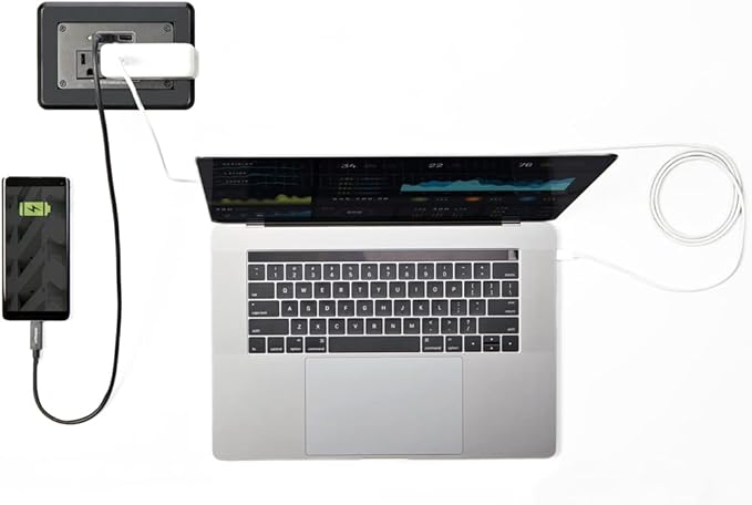 StarTech.com Power Outlet Module for Conference Table Connectivity Box - 2X AC Power and 2X USB-A - Power and Charging Hub (MOD4POWERNA)