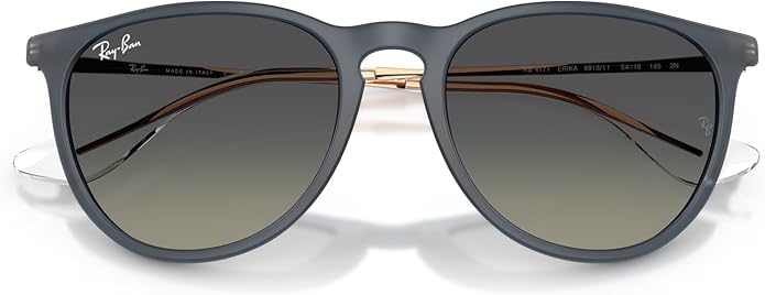 Ray-Ban womens Rb4171 Erika Round Sunglasses