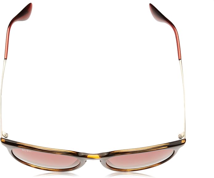 Ray-Ban womens Rb4171 Erika Round Sunglasses