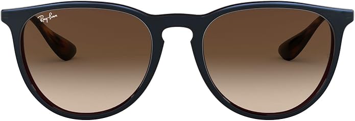 Ray-Ban womens Rb4171 Erika Round Sunglasses