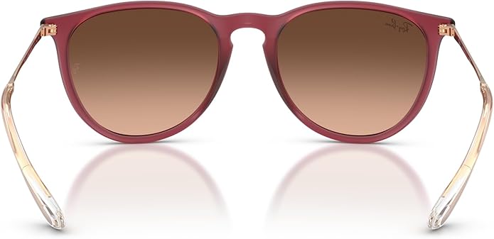 Ray-Ban womens Rb4171 Erika Round Sunglasses
