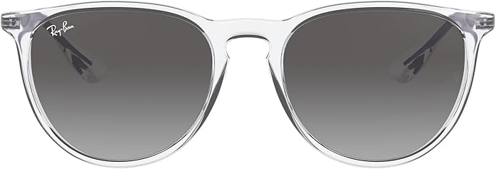 Ray-Ban womens Rb4171 Erika Round Sunglasses