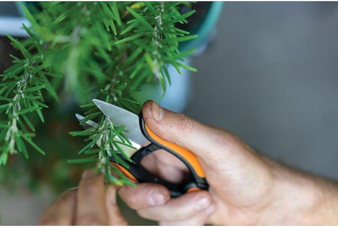 Fiskars Herb Garden Scissors, 5" Garden Shears, Handheld Herb Snips with Sheath and SoftGrip Handle, Dishwasher Safe
