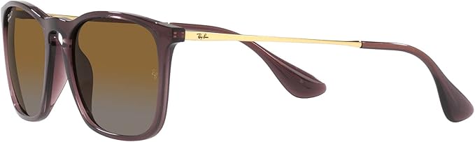 Ray-Ban RB4187 Chris Square Sunglasses