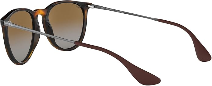 Ray-Ban womens Rb4171 Erika Round Sunglasses