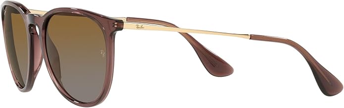 Ray-Ban womens Rb4171 Erika Round Sunglasses