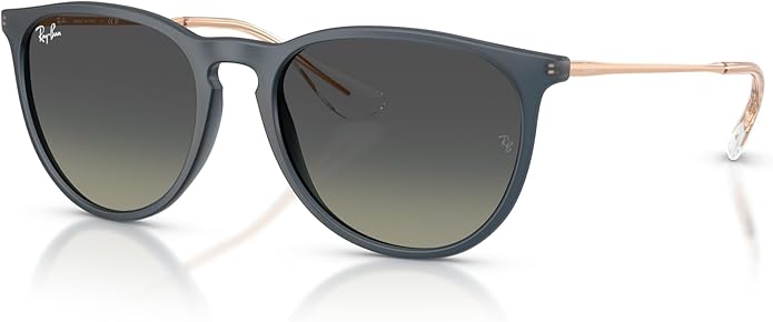 Ray-Ban womens Rb4171 Erika Round Sunglasses