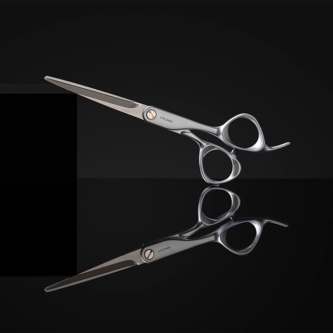 Fromm Professional Transform 6.25" Extra Smooth Hair Cutting Shears on Wet & Dry Hair in Matte Silver Japanese Steel Scissors with Beveled Blade for Experienced & Expert Stylists