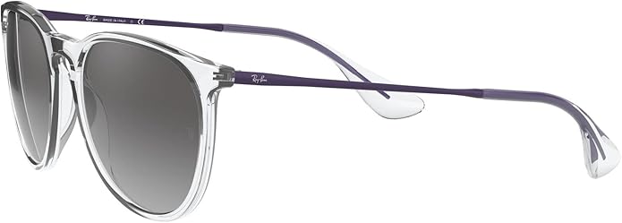 Ray-Ban womens Rb4171 Erika Round Sunglasses