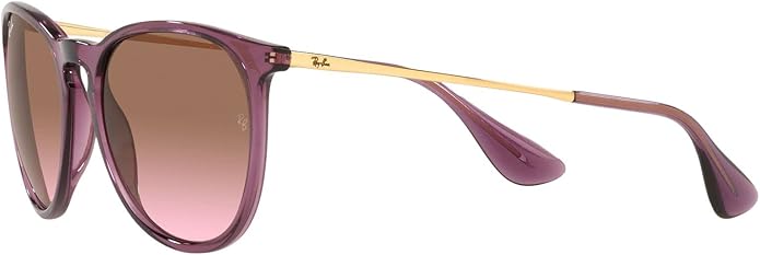 Ray-Ban womens Rb4171 Erika Round Sunglasses